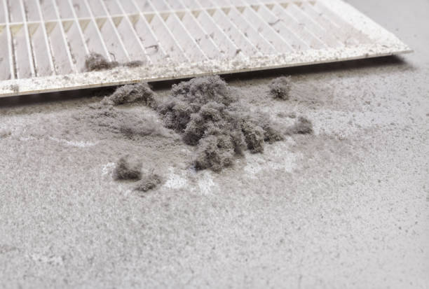 Best HVAC System Cleaning  in Gustine, CA