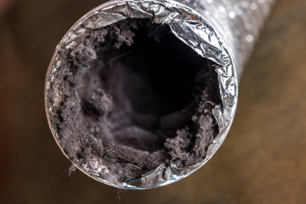 Best HVAC Air Duct Cleaning  in Gustine, CA